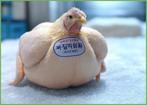하림 용가리치킨 (냉동)